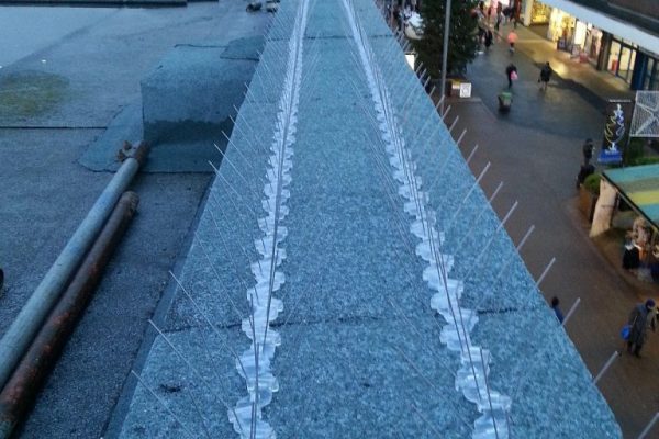 Pidgeon-Proofing-West-Bromwich-11-768x1024