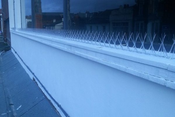 Pidgeon-Proofing-West-Bromwich-6-768x1024