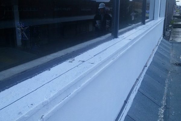 Pidgeon-Proofing-West-Bromwich-7-768x1024