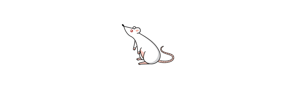 dangers of mice and rats